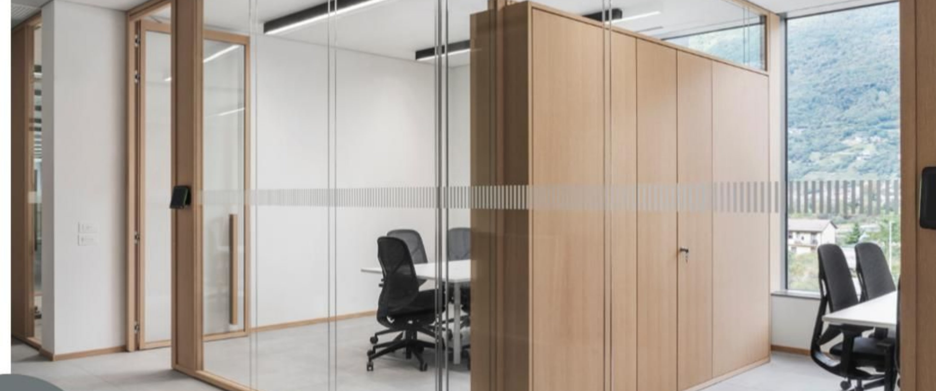 Glass Doors & Partitions